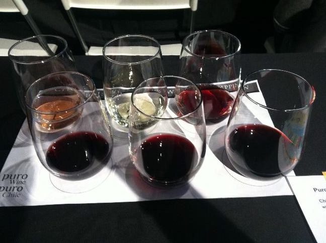 Be Your Own Wine&nbsp;Expert