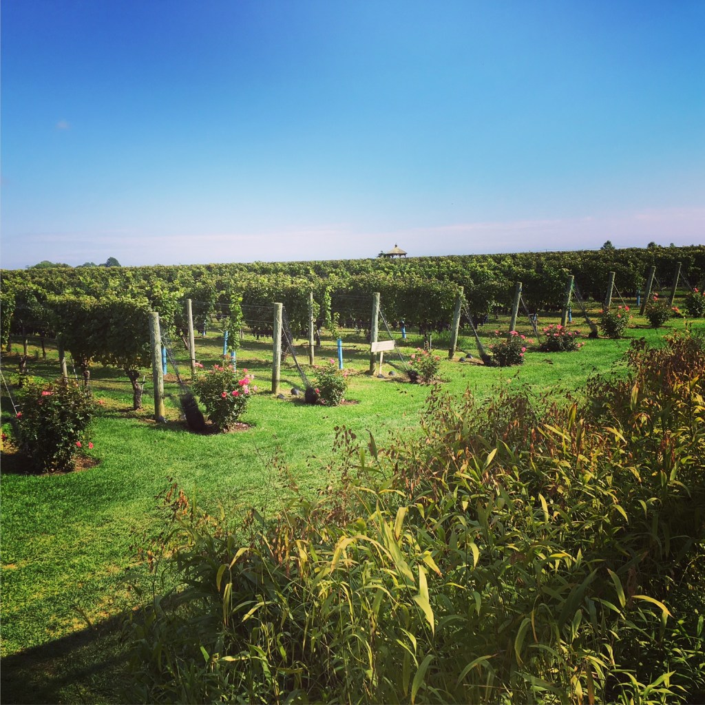 Anniversary Long Island Wine&nbsp;Weekend